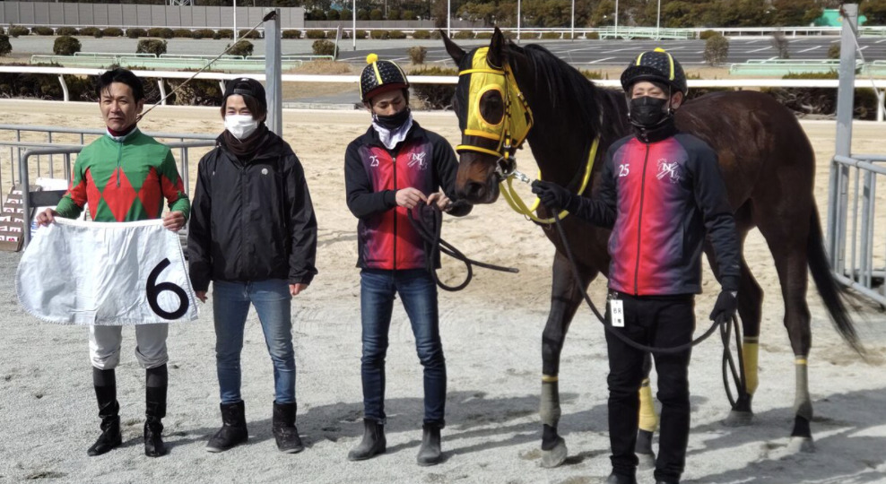 ヒカル所有馬ヒメノタヅナ