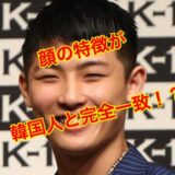 平本蓮の韓国人疑惑