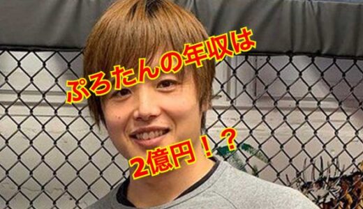 【稼ぎすぎワロタwww】ぷろたんの年収は２億円！？収入源は何！？