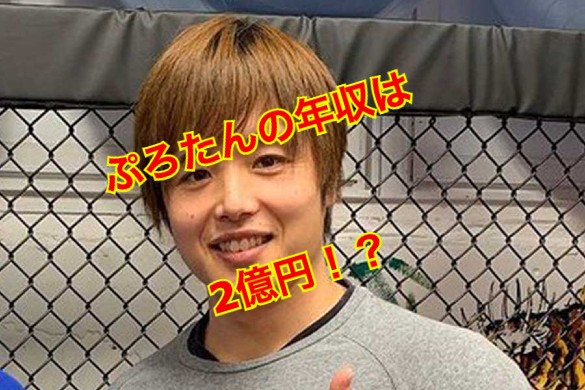 ぷろたんの年収