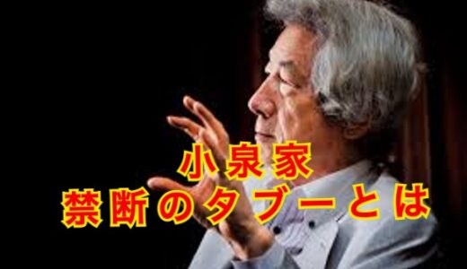 【タブー】小泉純一郎の家系はヤ◯ザの発祥だった！？戸籍は北朝鮮のクオーター！？