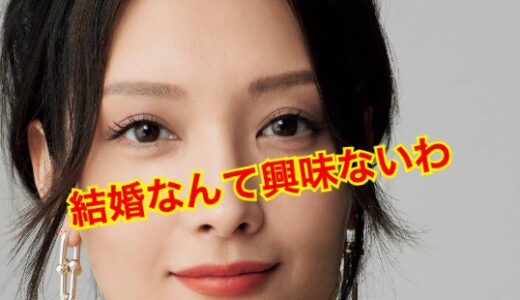 【結婚放棄】菜々緒は結婚しない！？歴代彼氏の人数がヤバい！？