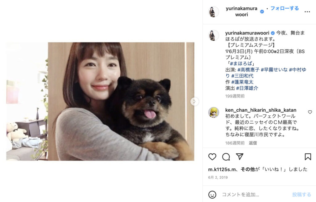 中村ゆりとチワワ