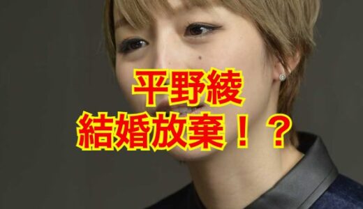 【2025最新】平野綾の結婚相手は谷口賢志！？一時期は結婚破棄していた噂とは！？
