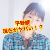 【2025最新】平野綾の現在がヤバい！？リベンジポルノで芸能界を干された今を追ってみた！？