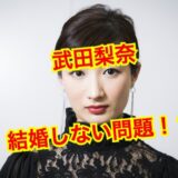 【2025最新】武田梨奈は結婚していない！？矢野聖人とはすでに破局していた！？
