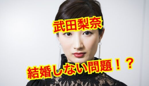 【2025最新】武田梨奈は結婚していない！？矢野聖人とはすでに破局していた！？