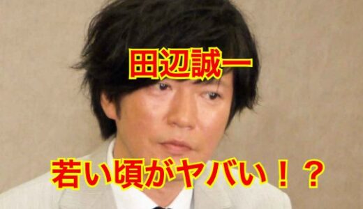 【最新版】田辺誠一の若い頃がイケメンすぎ！？知られざる昔の姿に一同驚愕！？