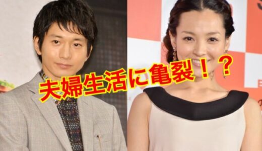 【初公開】向井理と国仲涼子に離婚危機！？子供の学校はどこ！？