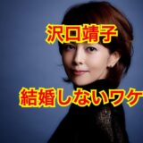 沢口靖子が結婚を完全放棄！？旦那になるはずだったある実業家の正体は誰！？