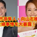 【ドン引き】市原隼人の嫁・向山志穂の知られざる結婚秘話がヤバい！？元カノから乗り換えた噂の真相は！？