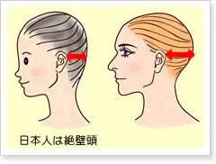 日本人と韓国人の違い1