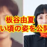【顔画像】板谷由夏の若い頃はどんな見た目だった？現在も老けず衰え知らずの美貌！？