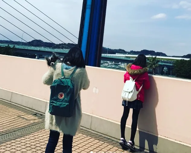 石田ひかり旦那見出し7