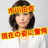 【2025最新】市川由衣の現在は何してる？育休休暇中でメディアへの露出が激減の噂を徹底検証！