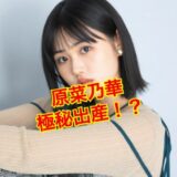【閲覧注意】原菜乃華が極秘出産した真相がヤバい！？歴代彼氏はあの人！？