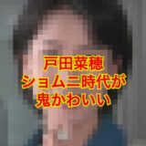 【顔画像】戸田菜穂のショムニ時代が鬼カワイイ！現在も美貌は変わらない！？