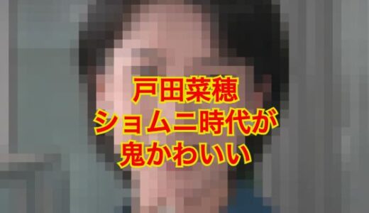 【顔画像】戸田菜穂のショムニ時代が鬼カワイイ！現在も美貌は変わらない！？