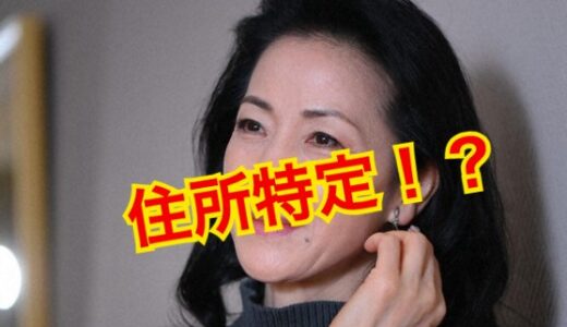 【住所特定！？】坂本冬美が10億円の豪邸を完全公開！？気になる間取りは？