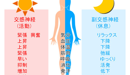 ホンマでっか！？TV【体の不調を改善！正しい自律神経の整え方！】